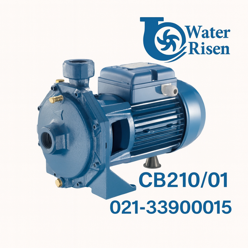 پمپ آب پنتاکس ۲ اسب دو پروانه بشقابی مدل CB210/01 تکفاز با پروانه برنجی | وارداتی ایتالیا | مناسب ساختمان و کشاورزی